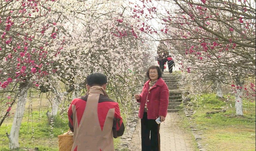 60361ba87822b.jpg 60361ba87822b.jpg