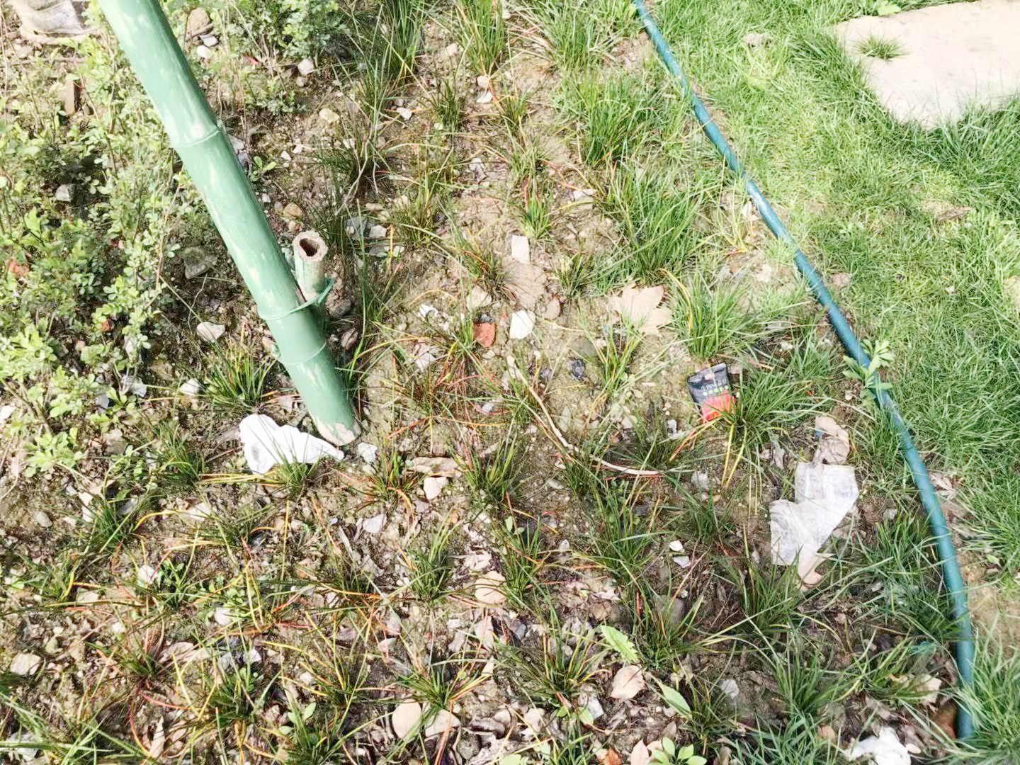 604f29316f96e.jpg 604f29316f96e.jpg