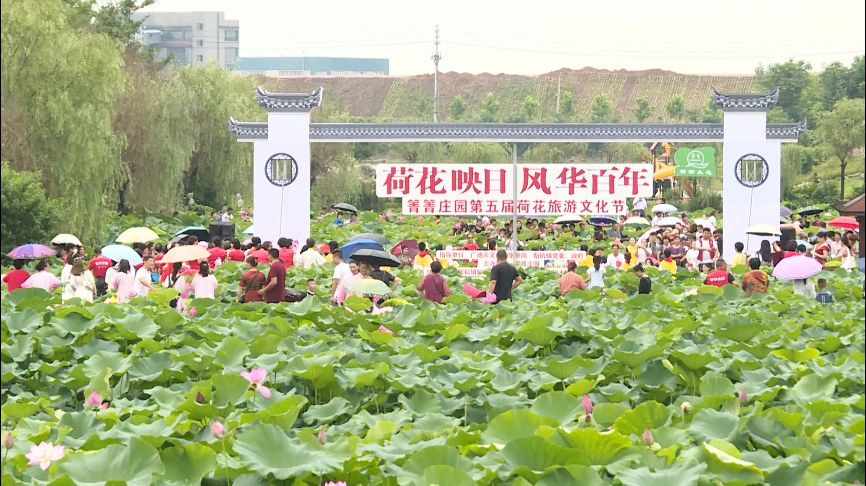 60e2f11b172c8.jpg 60e2f11b172c8.jpg