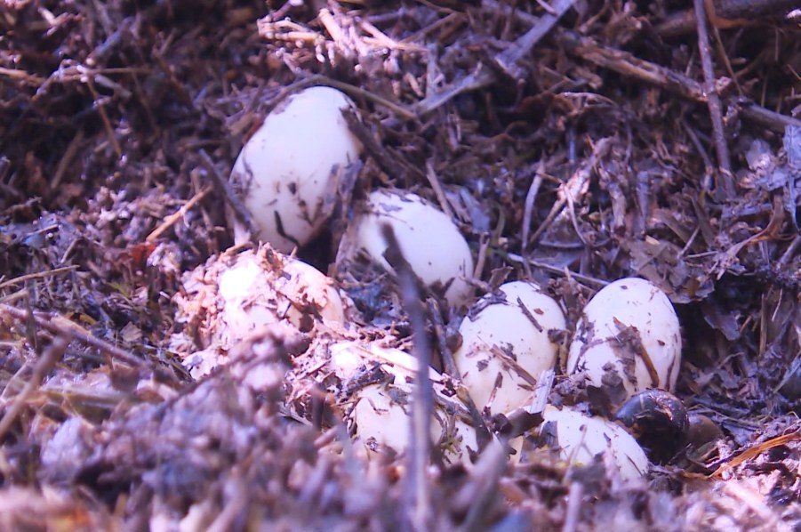 60f54de5beb64.jpg 60f54de5beb64.jpg