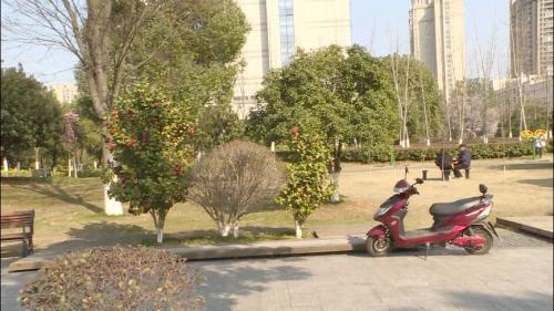 踏青赏花 莫丢文明