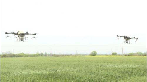 我市抢抓时机防治小麦赤霉病