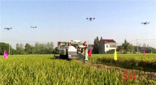 我市举行“中国农民丰收节”系列活动