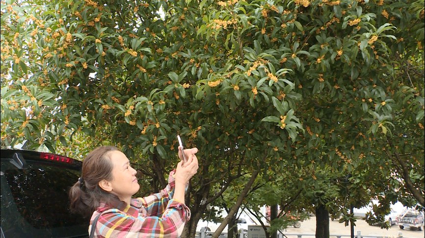 4ec7249d2bb6a43eb417d51e9c893f35.jpg 4ec7249d2bb6a43eb417d51e9c893f35.jpg