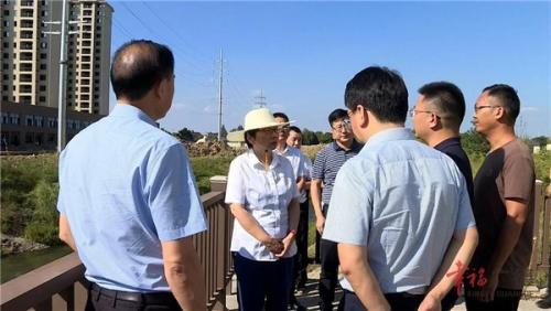 陈红英检查突出生态环境问题整改工作