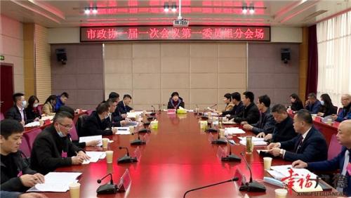 陈红英、周其红等市领导出席政协委员分组讨论会