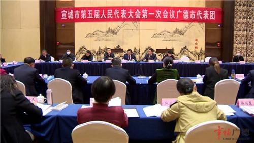 宣城市五届人大一次会议广德代表团代表审议《政府工作报告》