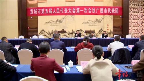 广德代表团代表继续审议各项工作报告