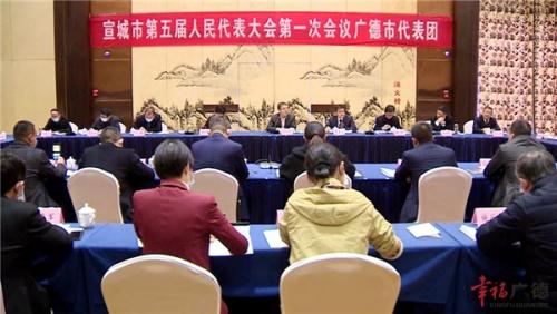 何淳宽参加广德代表团审议《政府工作报告》