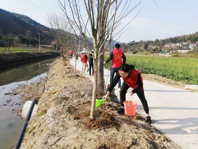 升平街道：“播种绿色梦想 共筑美丽家园”