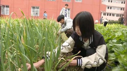 柏垫中学：乡风田韵 温馨校园