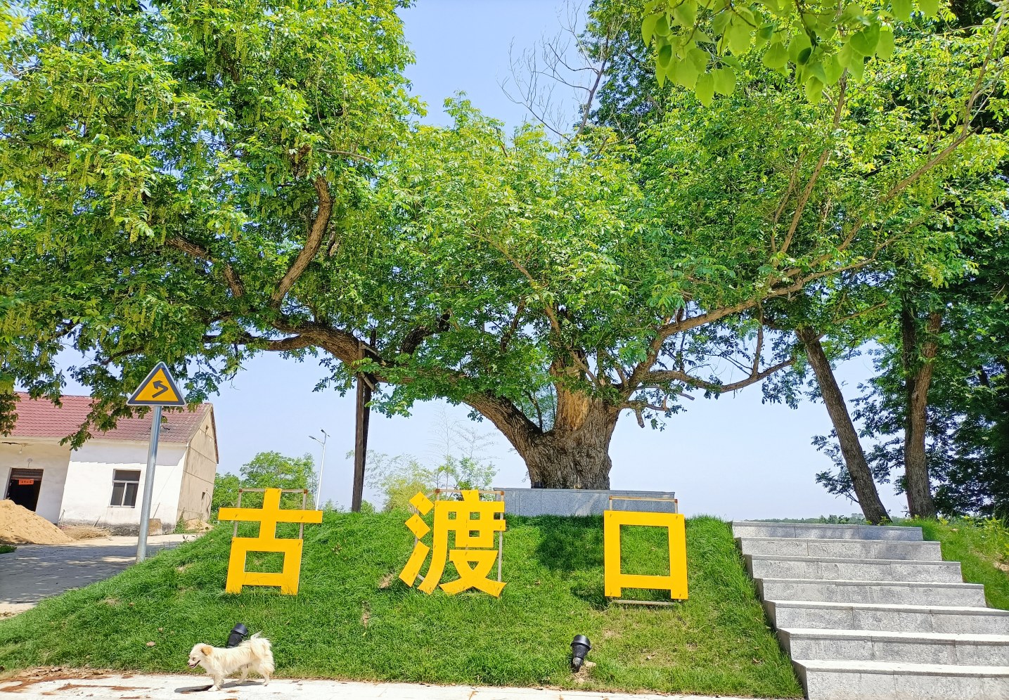 d39ff90f0a902d95d11c3446bd106249.jpg d39ff90f0a902d95d11c3446bd106249.jpg