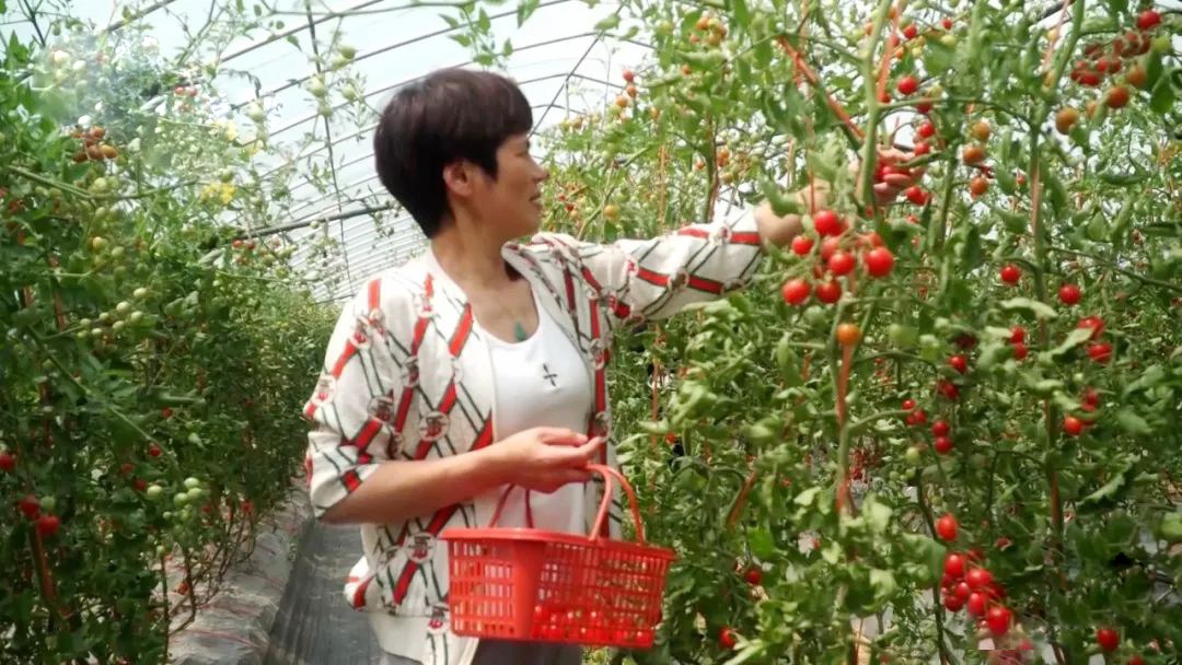 5e54157fbfbaad8d9c30114af4f310e9.jpg 5e54157fbfbaad8d9c30114af4f310e9.jpg