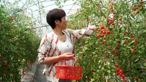 桃园村：农旅融合助力乡村振兴