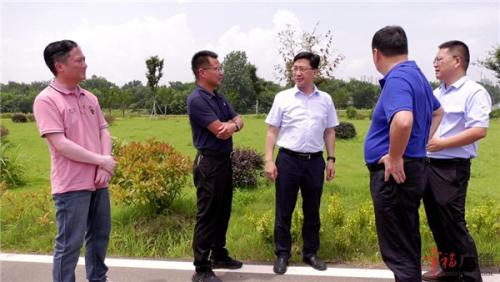 钱会调研耕地恢复工作