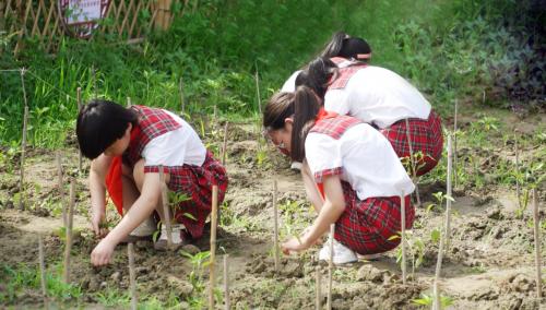 实验小学西校区：打造实践基地 落实劳动教育