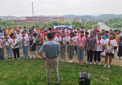 “红领巾”体验农耕插秧