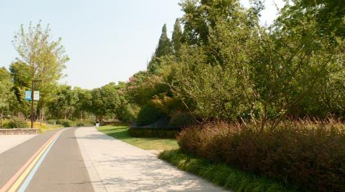 城市绿化提升市民幸福感