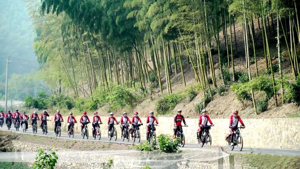 2959a6ee84f4d4b7641a1e443c474135.jpg 2959a6ee84f4d4b7641a1e443c474135.jpg