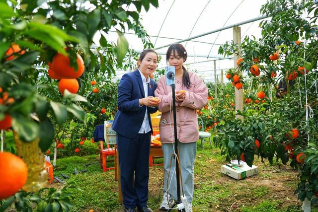 f680559588e37c0397cc696059237210.jpg f680559588e37c0397cc696059237210.jpg