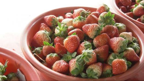 我市头茬草莓陆续上市