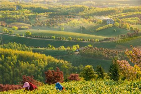 东亭大溪坞驿站