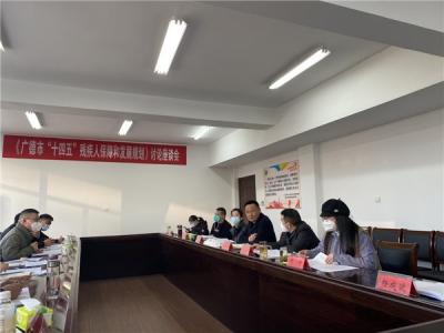 广德市残联组织召开《“十四五”残疾人保障和发展规划》专家论证会