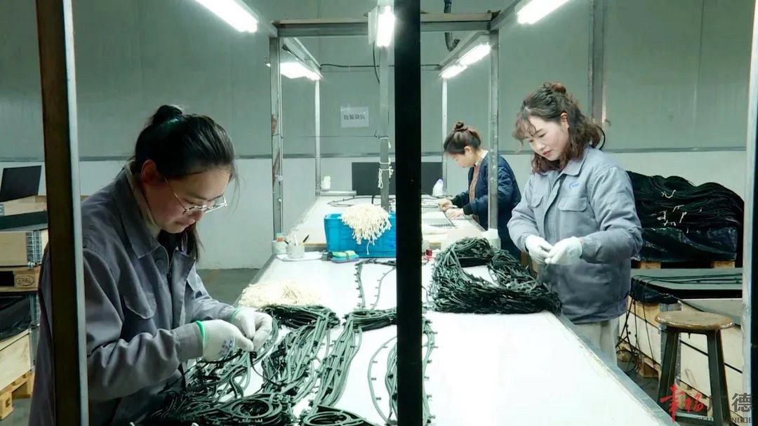 1cf0f3da2b1b33b59ccc219623623877 (1).jpg 1cf0f3da2b1b33b59ccc219623623877 (1).jpg