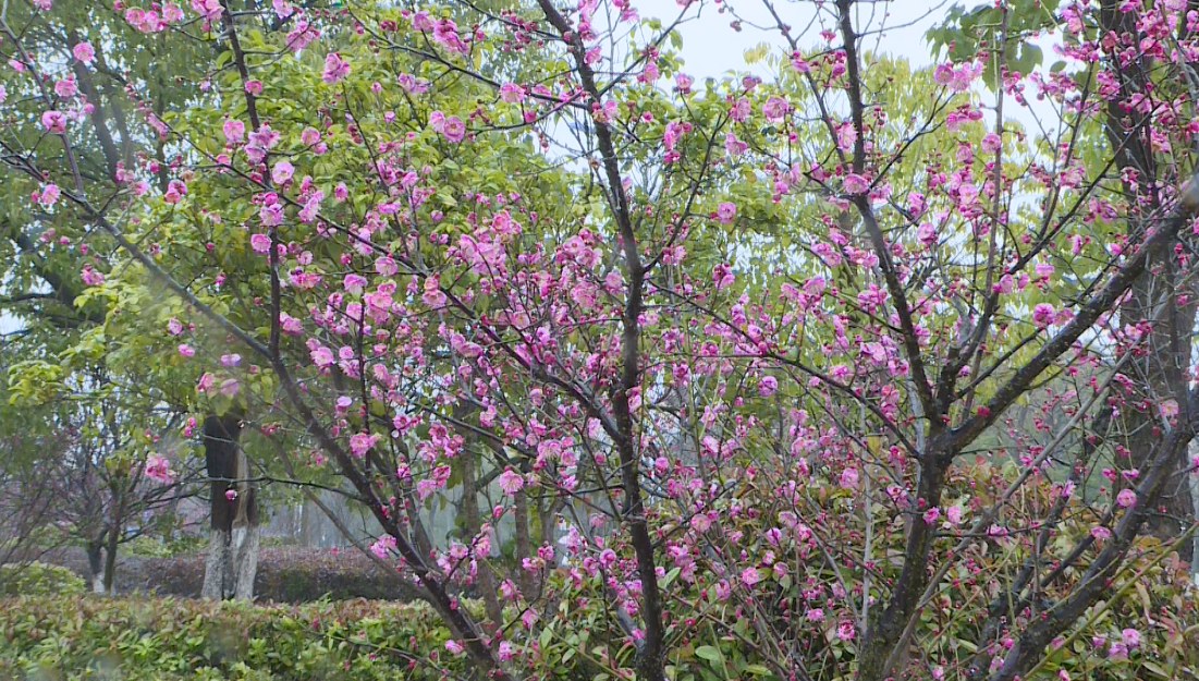 8774f4a4242fe5d5429b8dabd69350b1.jpg 8774f4a4242fe5d5429b8dabd69350b1.jpg