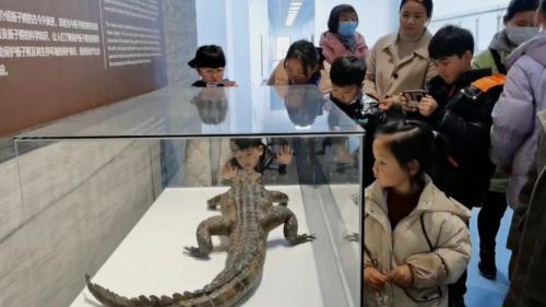 荷花社区：“亲近大自然 趣探鳄鱼馆”