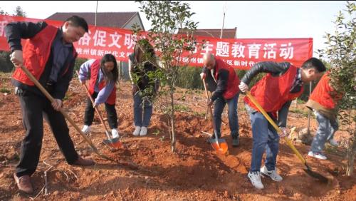 南塘社区组织开展义务植树活动