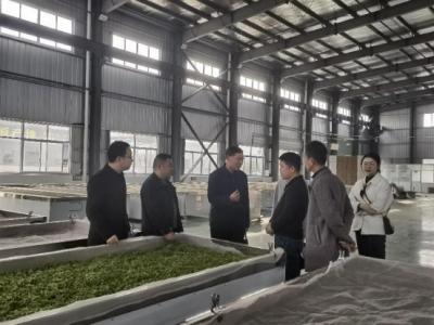 宣城市来广开展农产品质量安全示范乡镇“回头看”调研工作