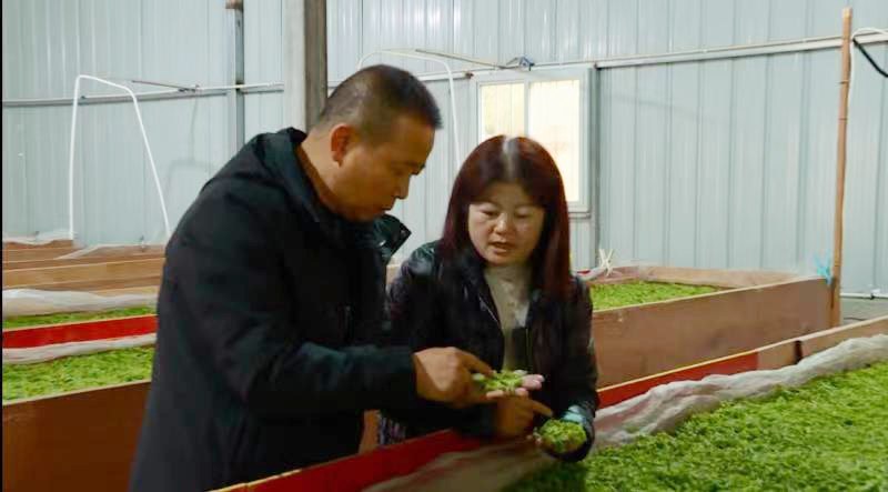 4fd1e789008972343a02edc93634f609.jpg 4fd1e789008972343a02edc93634f609.jpg