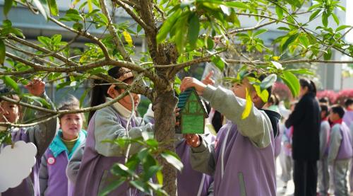 桃州四小：春暖三月学雷锋 爱鸟护绿我先行