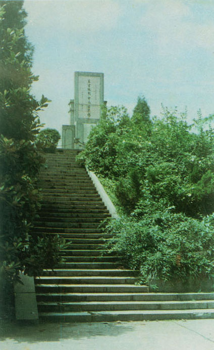烈士陵园　王金林烈士纪念碑