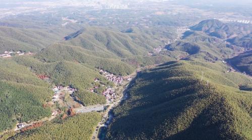 万亩竹海 撑起一方绿色经济