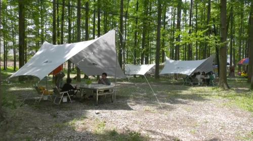 亲近自然 享受山风 露营成为五一旅游新选择