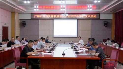 市自然资源和规划委员会2023年第四次审议会召开